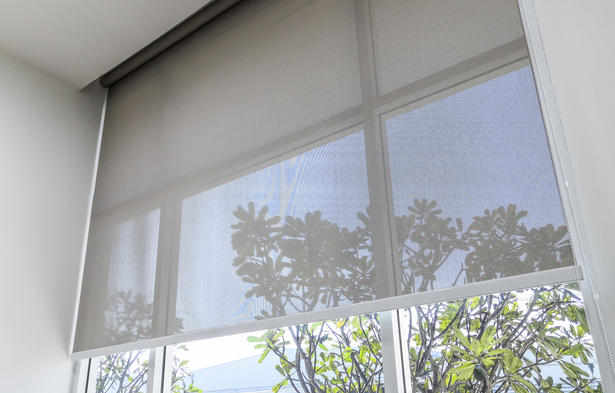 Grey roller blinds on a window
